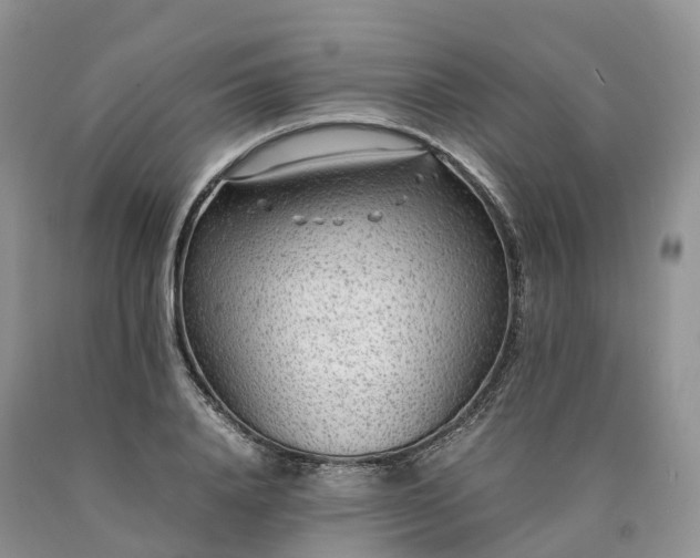 X0000090470840200707201353