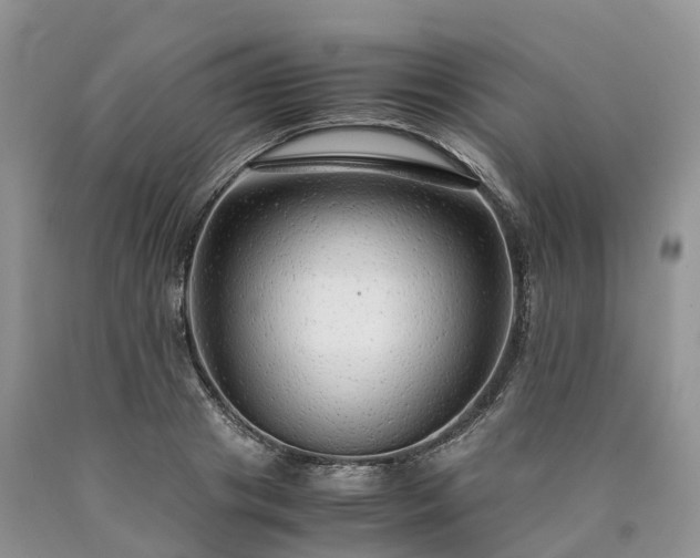 X0000090470841200707201353