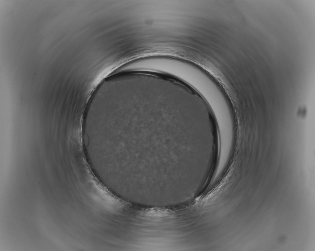 X0000090470842200707201353