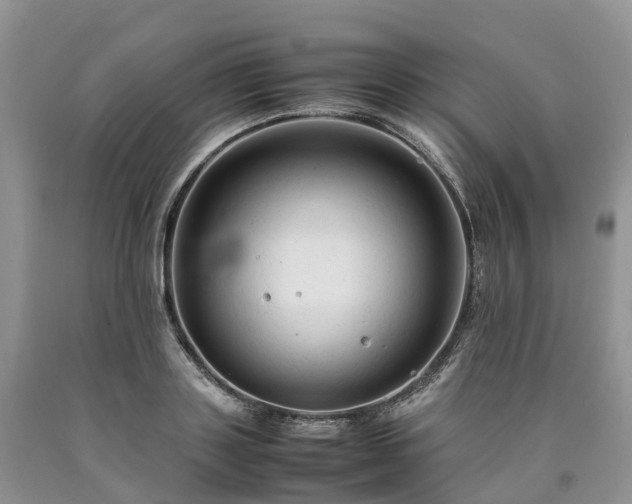X0000090470843200707201353