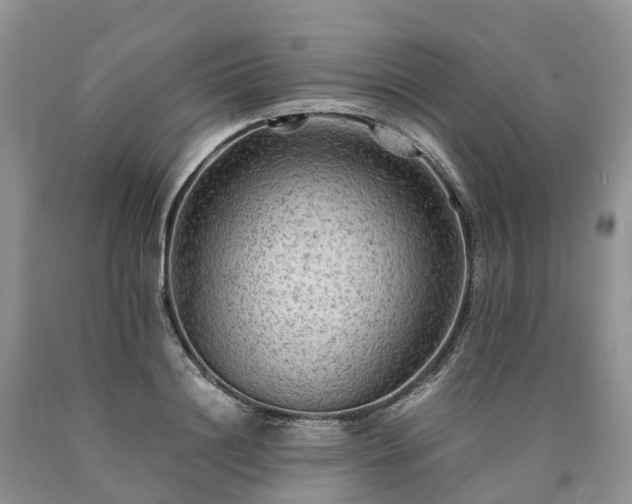X0000090470844200707201353