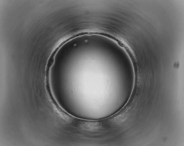 X0000090470845200707201353