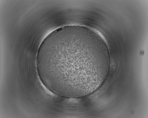 X0000090470847200707201353