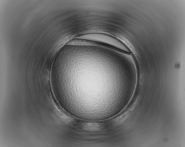 X0000090470849200707201353