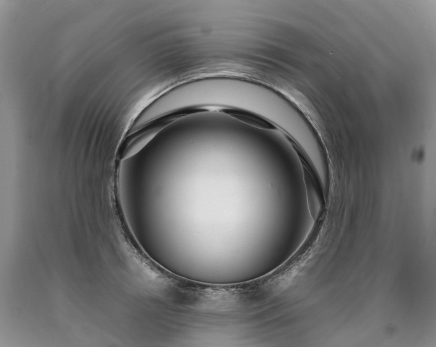 X0000090470850200707201353