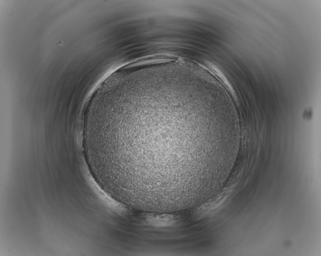 X0000090470851200707201353