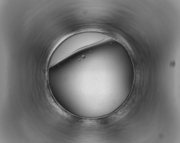 X0000090470852200707201353