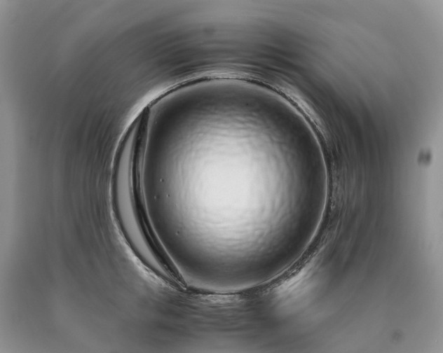 X0000090470853200707201353
