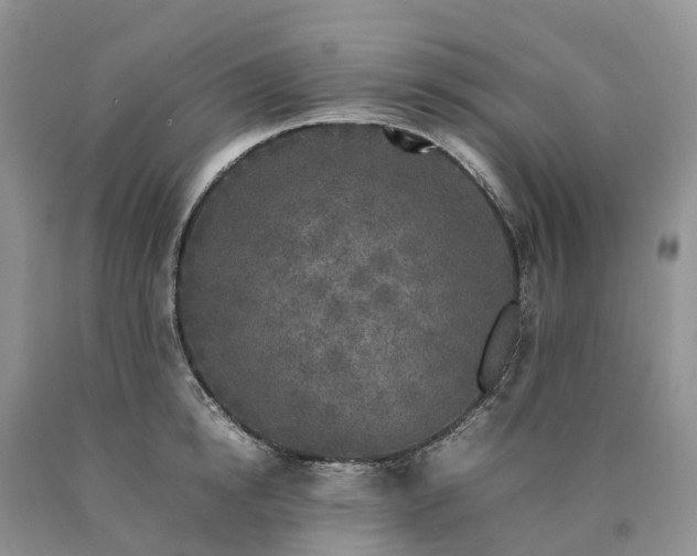 X0000090470854200707201353