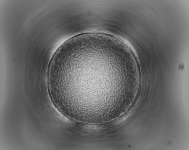 X0000090470855200707201353