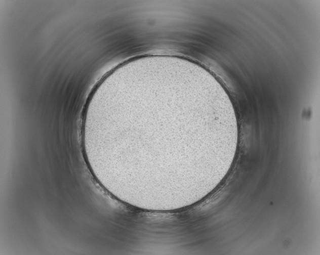 X0000090470856200707201353