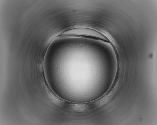 X0000090470857200707201353