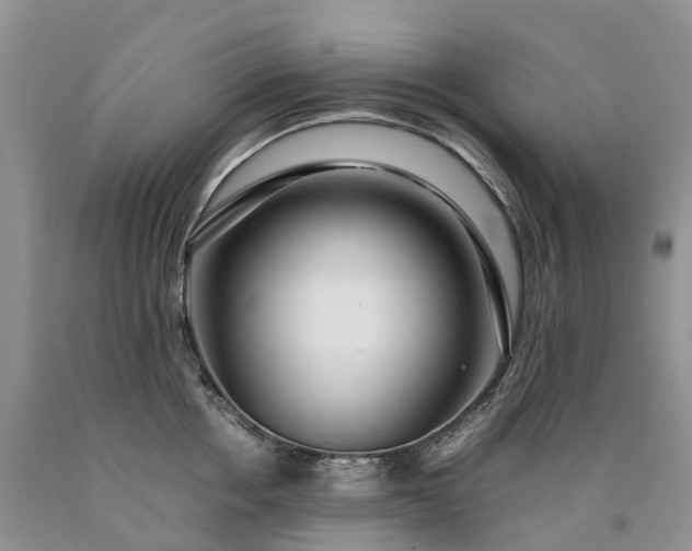 X0000090470858200707201353