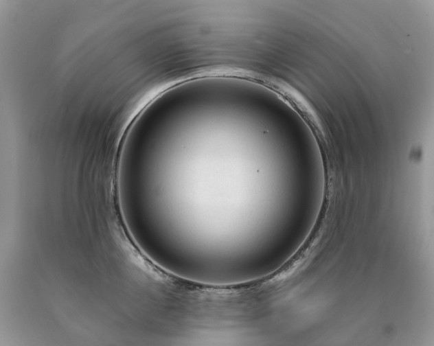 X0000090470860200707201353