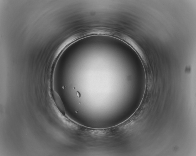 X0000090470861200707201353
