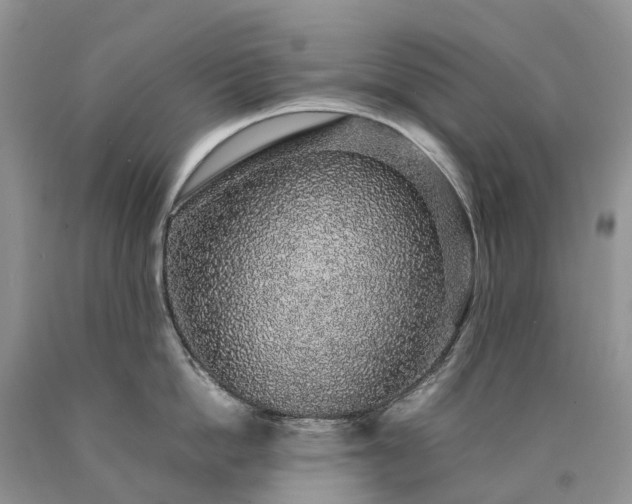 X0000090470862200707201353