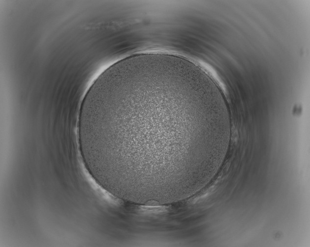 X0000090470863200707201353