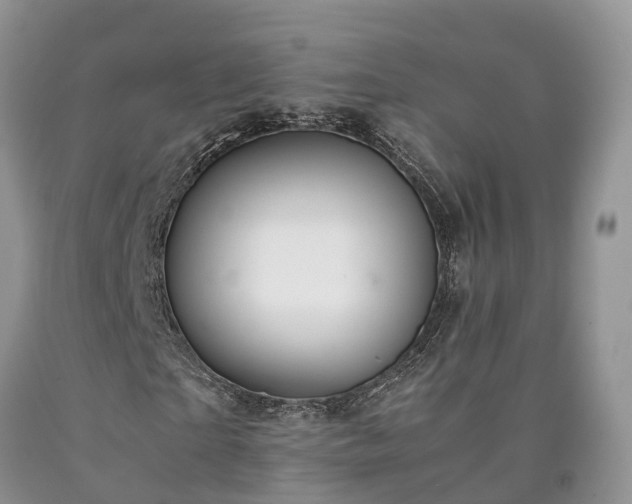 X0000090470865200707201352