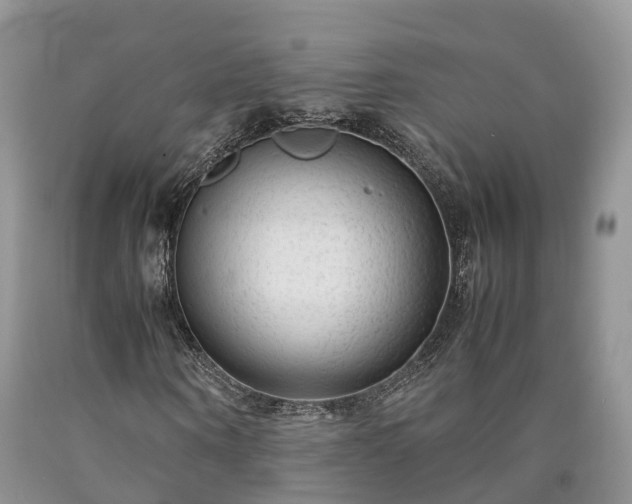 X0000090470866200707201352