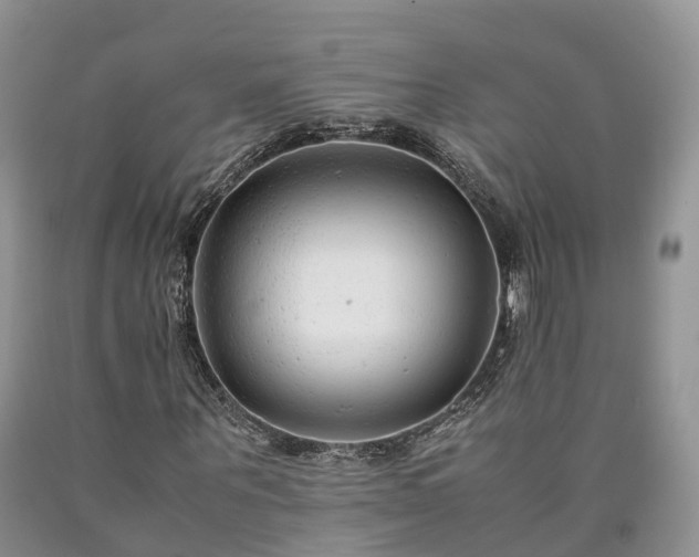 X0000090470867200707201352