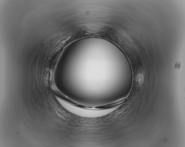 X0000090470868200707201352