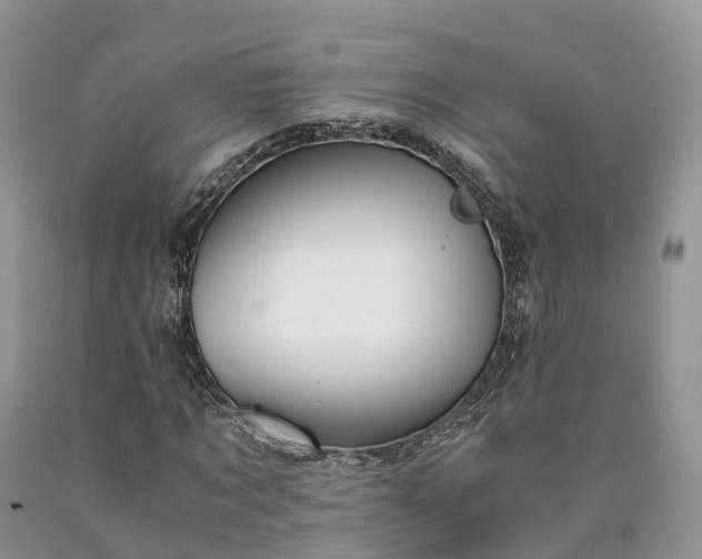 X0000090470869200707201352