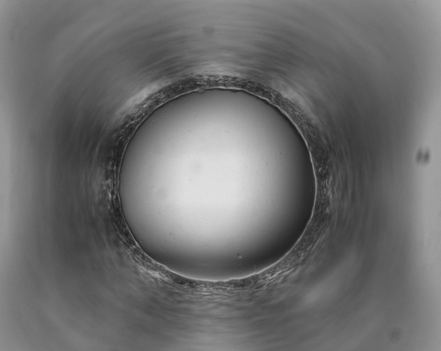 X0000090470870200707201352