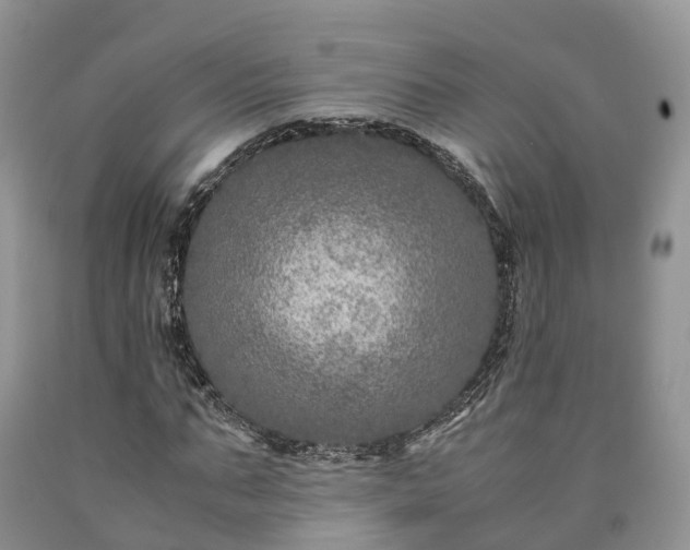 X0000090470871200707201352