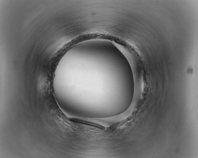 X0000090470872200707201352