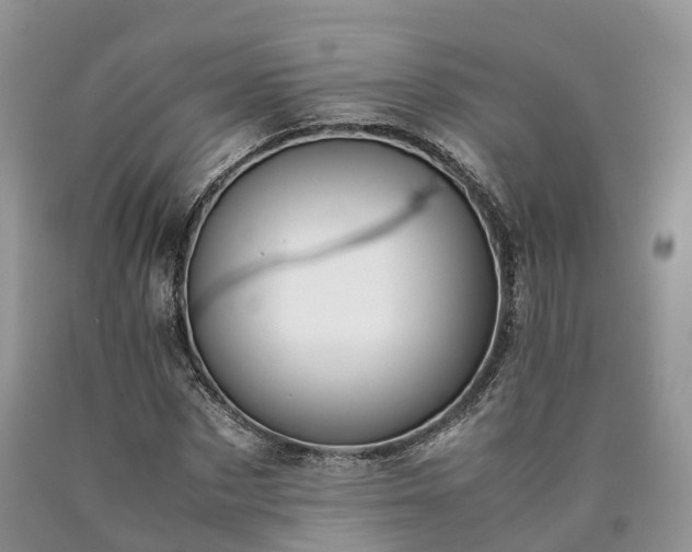 X0000090470873200707201352