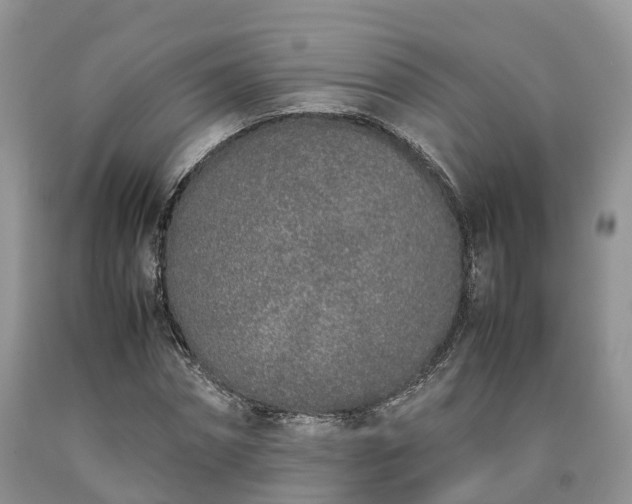 X0000090470874200707201352