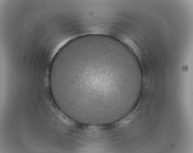 X0000090470875200707201352