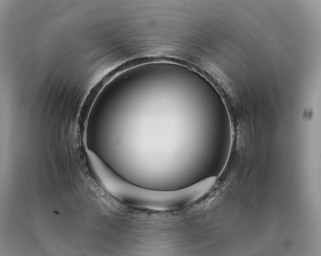 X0000090470876200707201352