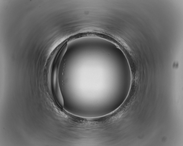 X0000090470877200707201352