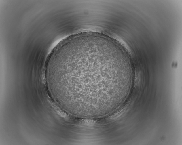 X0000090470878200707201352