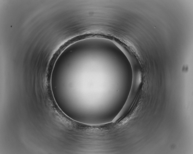 X0000090470880200707201352