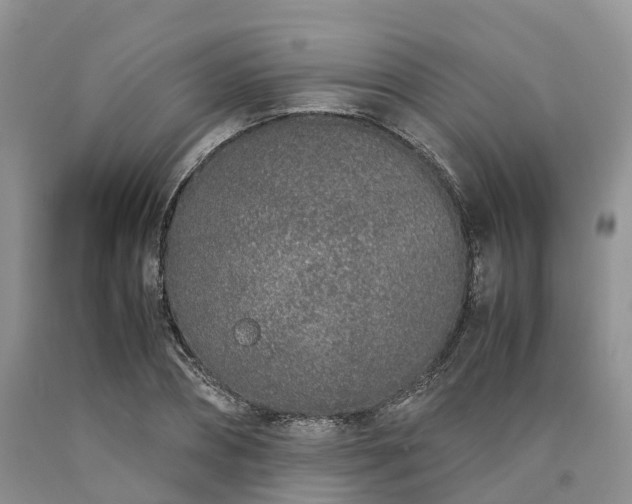 X0000090470882200707201352