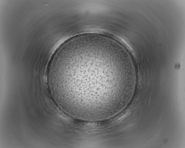 X0000090470883200707201352