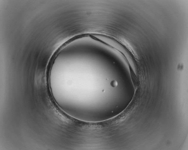 X0000090470884200707201352