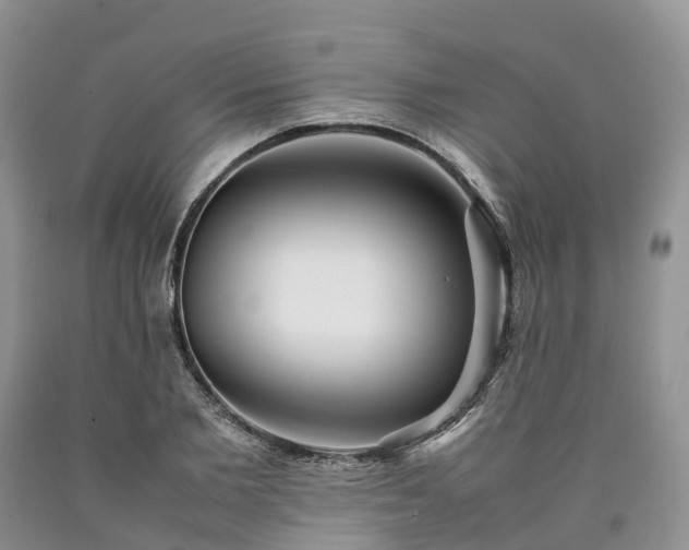 X0000090470885200707201352