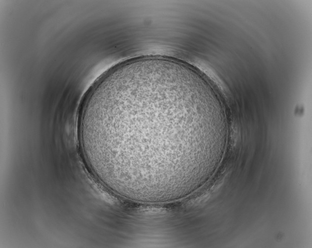 X0000090470886200707201352