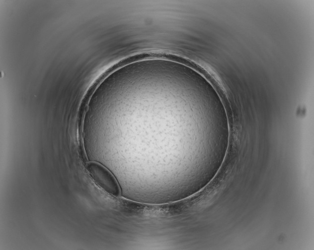 X0000090470887200707201352