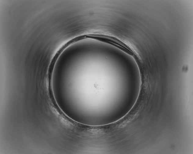 X0000090470888200707201352