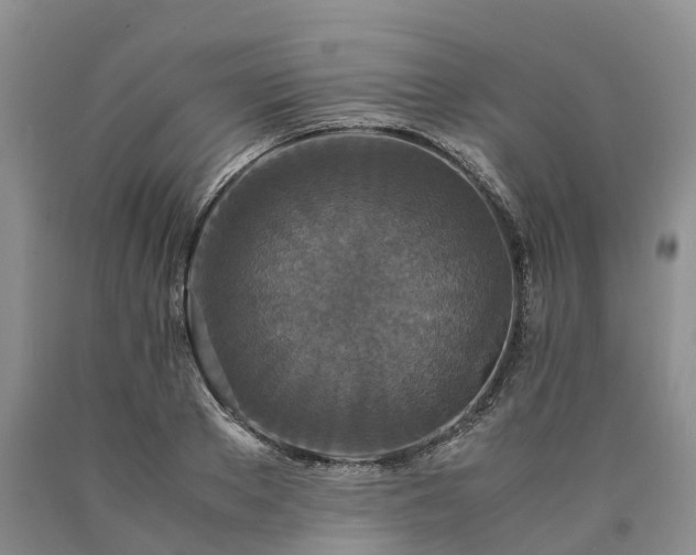 X0000090470889200707201352