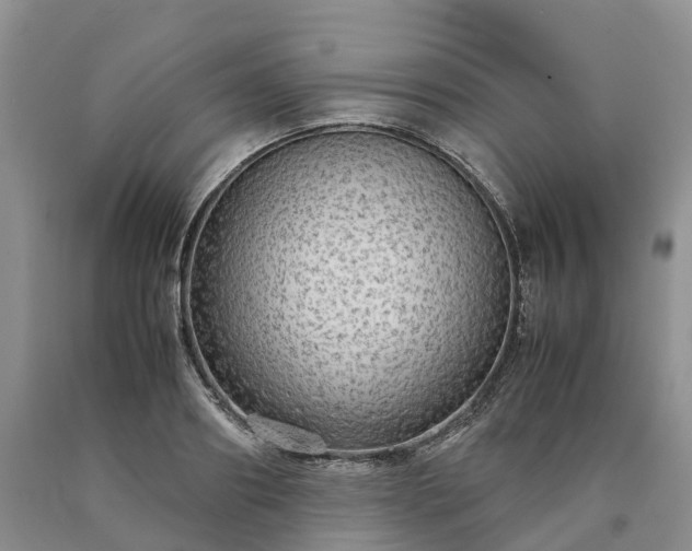 X0000090470890200707201352