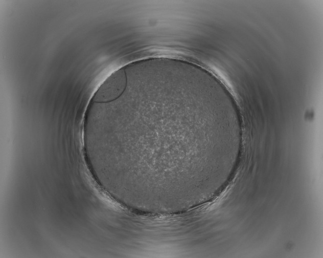 X0000090470891200707201352
