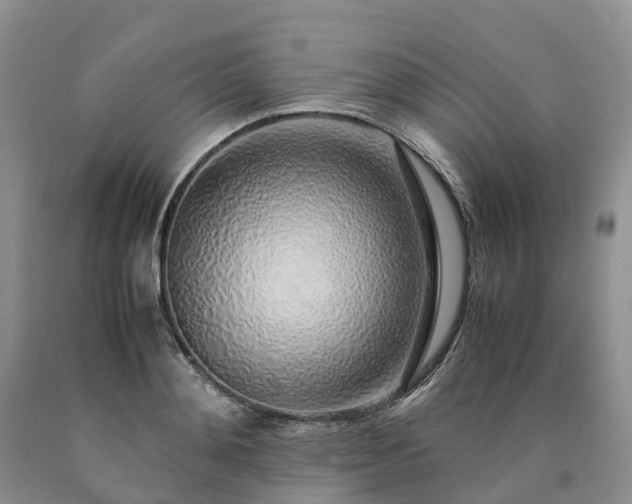 X0000090470892200707201352