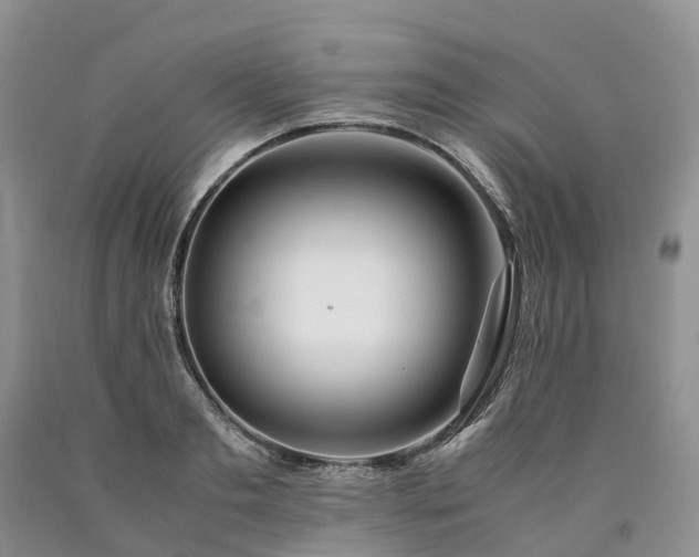 X0000090470893200707201352
