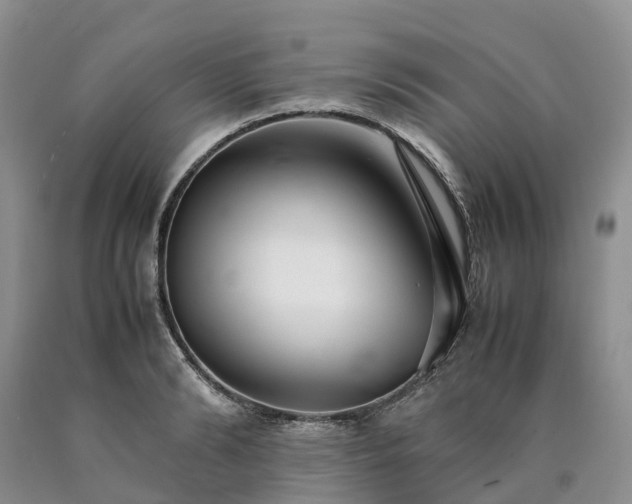 X0000090470894200707201352