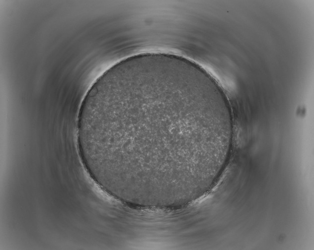 X0000090470895200707201352